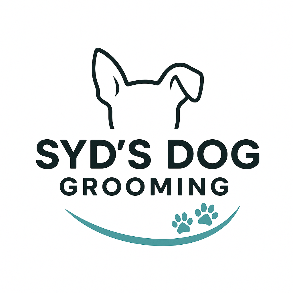 Brand logo design exploration